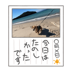 akiko_20220101121522