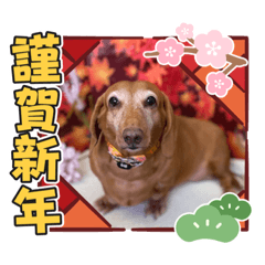 kandahal_20220101123107