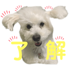 Risa_20220101022706