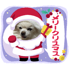 Chris_20220101024556