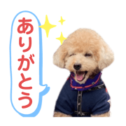 Mion_20220101043141