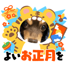 risa_20220101101458