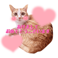 lovecat_20220101134635