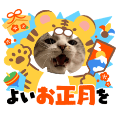 yuka_20220101140955