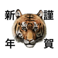 かっこいい虎の正月スタンプ Line スタンプ Line Store