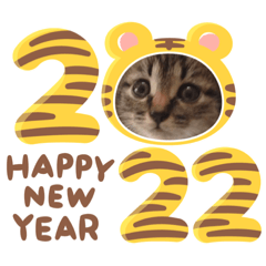 catyear_2021