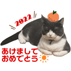 Miki_20211231200150
