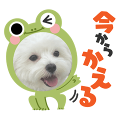 aoi_20220101122358