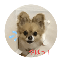 hana_20220101150644