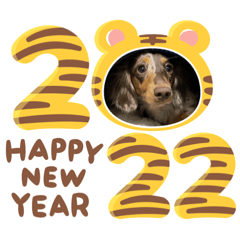 chocolat mama_20220101154301