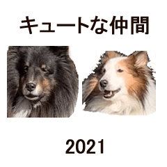 Two Cute Dogs Happy New Year