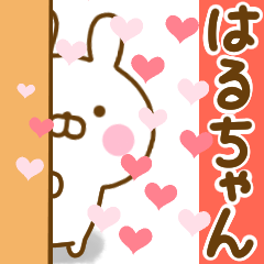 Rabbit Usahina love haruchan
