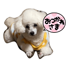 yun_20220101173517