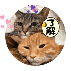 meromaro_20220101192157