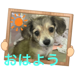 akiko_20220101204111