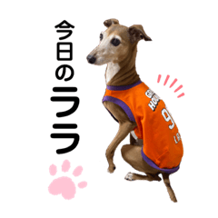 SHIHO_20220101221401