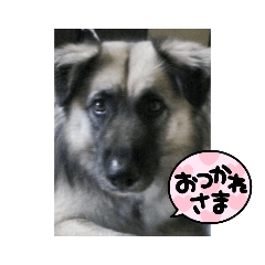 yun_20220101220911