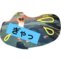shin 6