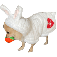 honeymaru_20220101191051