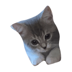 junko_20220101191508