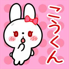 The white rabbit loves Koh-kun