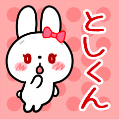 The white rabbit loves Toshi-kun