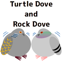Cute Turtle Dove and Rock Dove