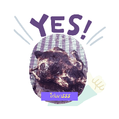 Luechai_20220101165427