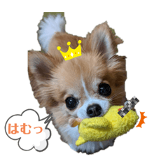 SAORI_20220102015816