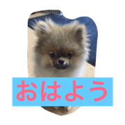 POKO  POKO