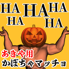 Akiya Pumpkin macho