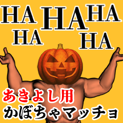 Akiyoshi Pumpkin macho