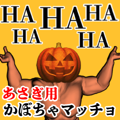 Asagi Pumpkin macho