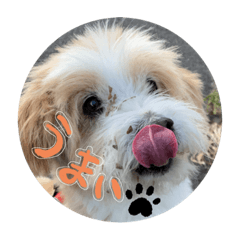 aofumi_20220102074331