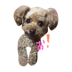 My name is Zen!!2