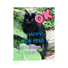 偽虎的逆襲