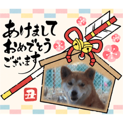 ryuki_20220102141411