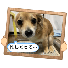 akiko_20220102142320