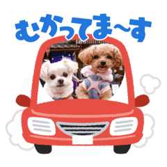 junko_20220102123045