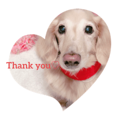 SAORI_20220102125000