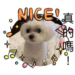 Maru第二系列貼圖