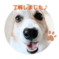 SAORI_20220102151051