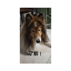 hanamama_20220102154355