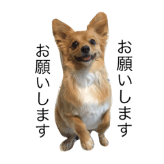 ツナ Line スタンプ Line Store