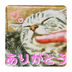 YUN_20220102210207