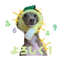 hana_20220102223231