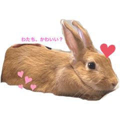 yamada_20220102213304