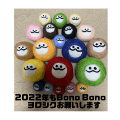 Bono Bono_20220103112734