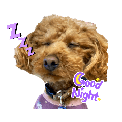 himawari_20220102235804