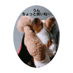 yuto_20220103120827